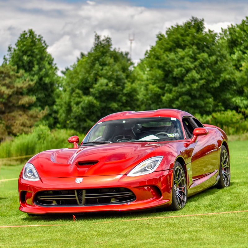 Snake in the grass